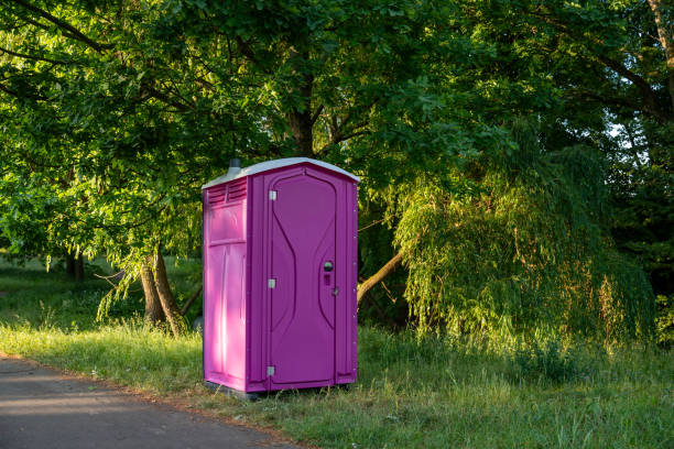 Best Porta potty rental for parties  in Fruitvale, CO